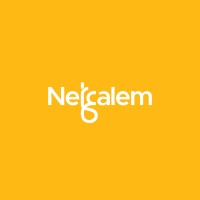 Net3alem.dz logo - Similar company to Masterful Institute