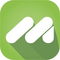 Morphis Technologies logo - Similar company to Tech Bridge Web Solutions