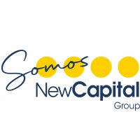 NewCapital Group logo - Similar company to Samtech