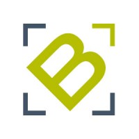 Beltrees Consulting Services logo - Similar company to Schmidt Security Pro