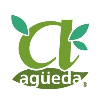 Agüeda SpA logo - Similar company to Sesag - Segurança E Saúde De Águeda, S.A.