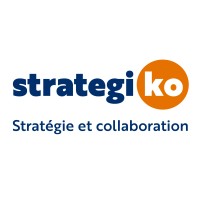 Strategiko logo - Similar company to Playway Learning