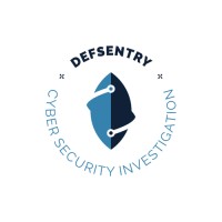 defsentry logo - Similar company to Digital9X