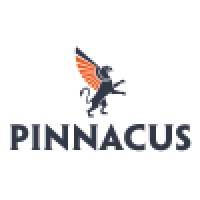 Pinnacus logo - Similar company to Radixsol Technologies