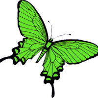 De Groene Vlinder logo - Similar company to Smart-Ict