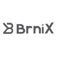 BrniX logo - Similar company to Digiuniv Technologies Private Limited