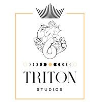 Triton Studios logo - Similar company to Reliance Animation Academy
