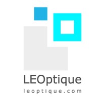 Leoptique logo - Similar company to Web 7 Marketing Inc.
