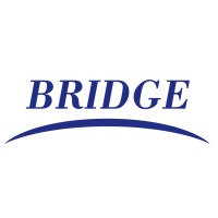 Bridge Professional Services logo - Similar company to Marshallstaffinglta.Com