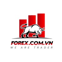 Forex.com.vn logo - Similar company to Mtx Platform