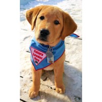 Leader Dogs for the Blind logo - Similar company to The Rainbow Connection