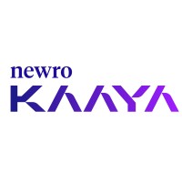 NewroKaaya Innovative Solutions Pvt Ltd logo - Similar company to Smart Workforce Ai