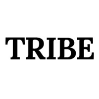 Tribe Capital logo - Similar company to Defined