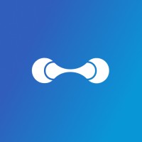 Wiselink logo - Similar company to Hg Consulting