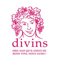 DIVINS logo - Similar company to High Concept • Script Doctoring