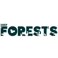 Deep Forests logo - Similar company to Knb Infosolution