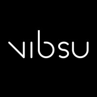 vibsu logo - Similar company to Dem Interactive