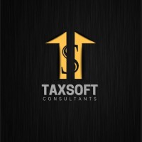 Tax Soft Consultants logo - Similar company to Naumico