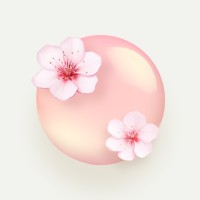Homii Life logo - Similar company to Black Tofu