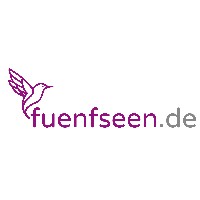 fuenfseen logo - Similar company to Installation Support