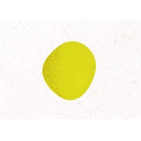 TICKLE QUO logo - Similar company to Tongqi Design