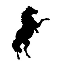 Stable Alpha logo - Similar company to Yescom Media