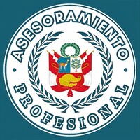 Asesoramiento Profesional del Perú logo - Similar company to Instituto Lean Perú