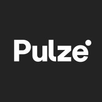 pulze logo - Similar company to ITOOSOFT