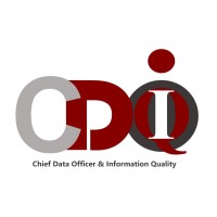 CDOIQ Program logo - Similar company to Yeedu