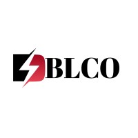 Bright Lights Co logo - Similar company to Contractse Gmbh
