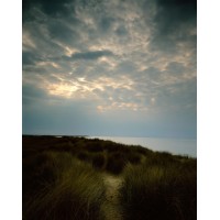 Thinking Path logo - Similar company to Athens Partnership