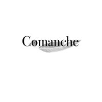 Comanche Group logo - Similar company to Road Map Technologies, Llc