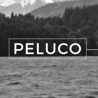 Peluco - A Creative Thinking Company logo - Similar company to Alimentar Mdp