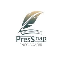 Pressnap logo - Similar company to Cabinet Cap Conseil