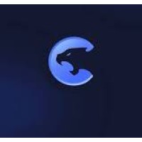 Pumacash logo - Similar company to 上海孚微网络科技有限公司