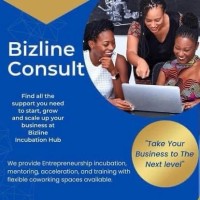 Bizline Incubation Centre logo - Similar company to National Entrepreneurship & Innovation Programme