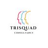 Trisquad Consultancy logo - Similar company to Nafts Group Llc