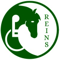 Reins Therapeutic Horsemanship Program