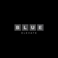 Blue Elevate India Pvt. Ltd. logo - Similar company to Esyncross