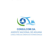 CONSULCOMI S.A. logo - Similar company to Macrosolutionsec