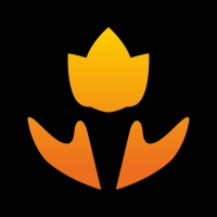 Believe APS logo - Similar company to Digitalnetwork