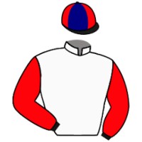 Lugdunum Racing logo - Similar company to Eurosid