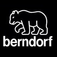 Berndorf Sandrik logo - Similar company to Fleischer And Wolf