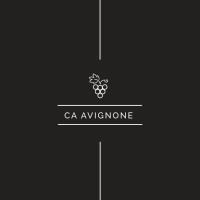 Ca Avignone logo - Similar company to Licosia