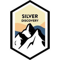 Silver Discovery logo - Similar company to The Jerusalem Report