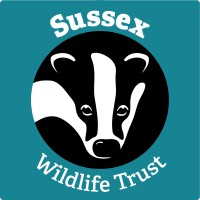 Sussex Wildlife Trust logo - Similar company to Kent Wildlife Trust Consultancy Services