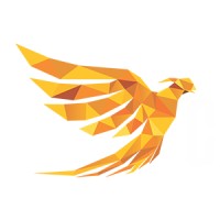 Coin Concepts logo - Similar company to One Ai Network