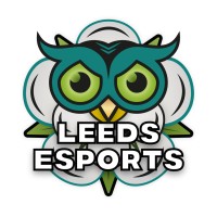 Leeds Nocturnal Esports logo - Similar company to Alzahra University Data Mining Lab