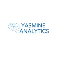 Yasmine Analytics logo - Similar company to Aceflow