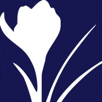 Willson Grange Group logo - Similar company to Reflect Financial Limited